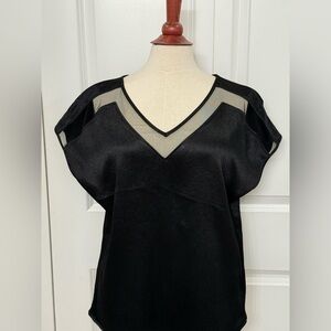 Express Black V-Neck Sheer Blouse